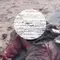 Mayat Tanpa Kepala Mengapung di Pantai Lampung