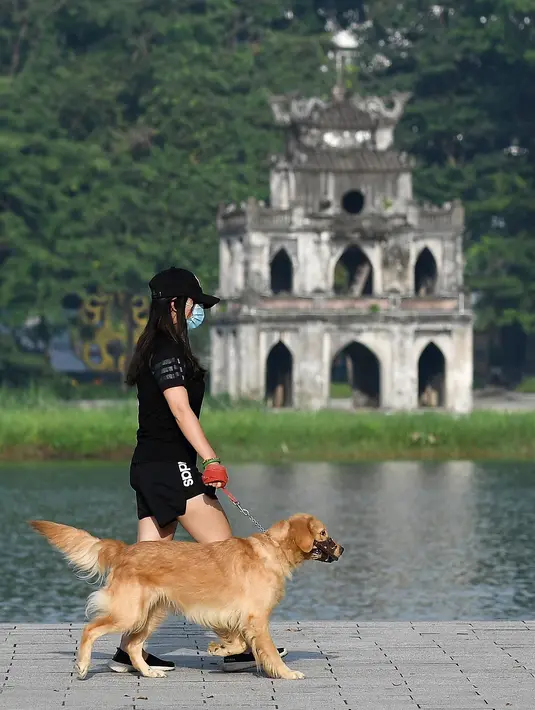 Seorang wanita dan anjingnya berjalandi sepanjang danau Hoan Kiem di Hanoi setelah kegiatan olahraga outdoor diizinkan menyusul pelonggaran pembatasan Covid-19, Selasa (28/9/2021). Sejauh ini, 94 persen dari populasi orang dewasa di Hanoi sudah menerima dosis pertama vaksin Covid. (Nhac NGUYEN/AFP)