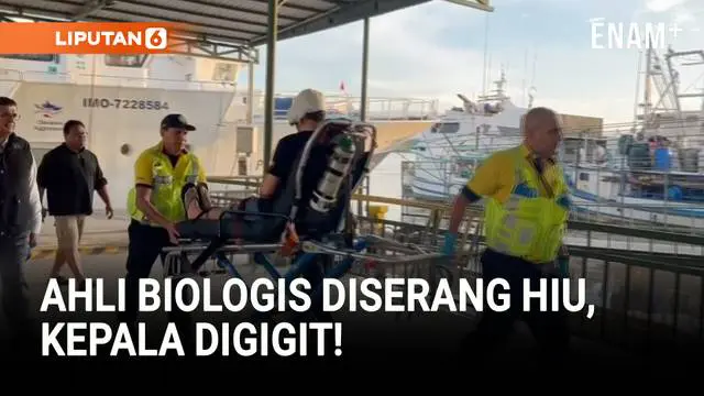 Seorang biologis asal Meksiko selamat dari serangan hiu saat melakukan penelitian di Isla del Coco, Costa Rica. Korban mengalami luka serius di kepala, wajah, dan tangan, namun kini dalam kondisi stabil.