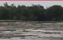 Fakta Menarik Baby Volcano di Grobogan, "Sang Adik" Bledug Kuwu yang Menyemburkan Lumpur Akibat Gempa Tuban