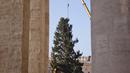 Sebuah derek dikerahkan untuk mendirikan pohon Natal raksasa di Alun-alun Santo Petrus, Vatikan, Kamis (23/11). Pohon Natal yang didatangkan dari Polandia ini tingginya mencapai 28 meter. (AP Photo/Andrew Medichini)