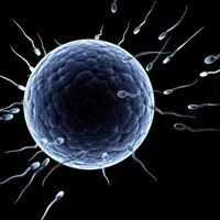 Ilustrasi Sperma (Istimewa)