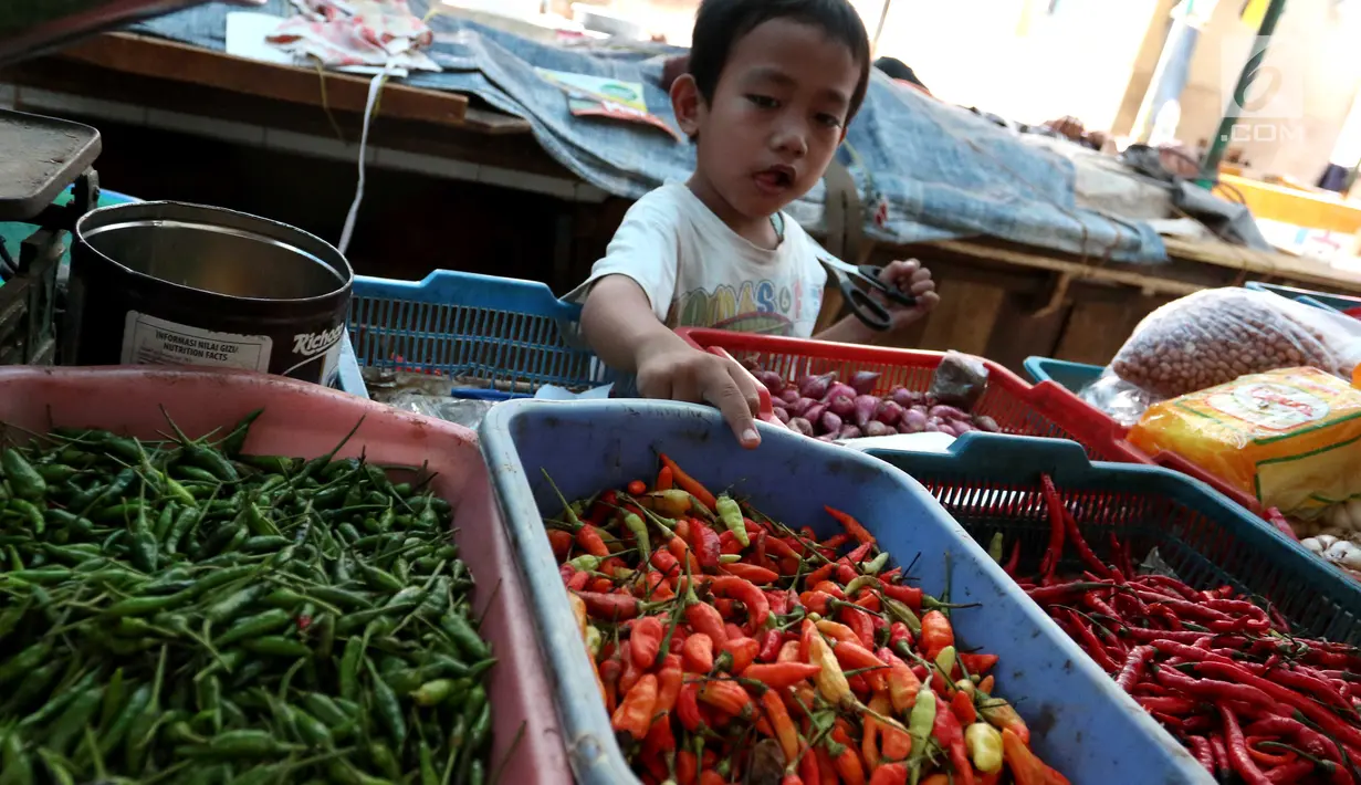 Seorang bocah bermain dengan cabai di sebuah pasar di Jakarta, Kamis (11/1). Jika sebelumnya dijual Rp 30 ribu hingga Rp 35 ribu, kini harga cabai berkisar Rp 55 ribu hingga Rp 60 ribu per kilogram. (Liputan6.com/Angga Yuniar)