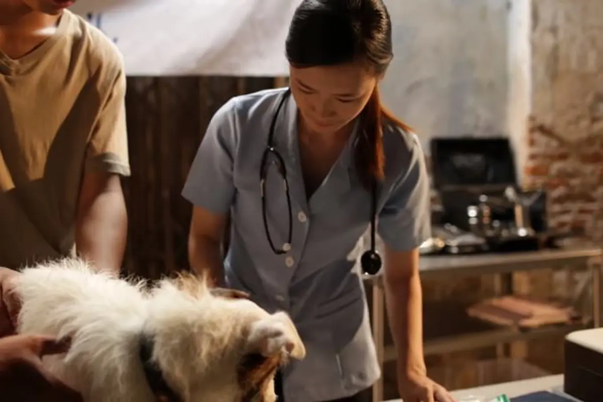Satu Lagi, Iklan Thailand Ini Bikin Kamu Nangis Seharian