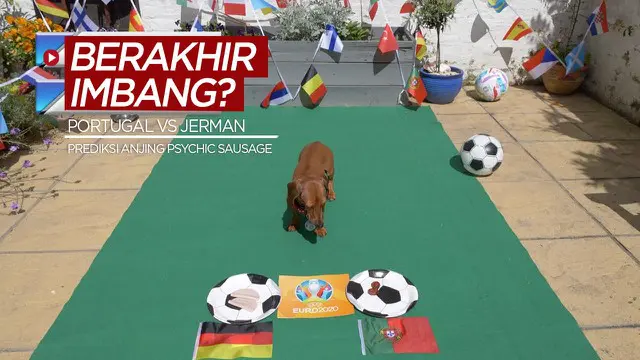 Berita video prediksi dari anjing yang dijuluki "Psychic Sausage" untuk laga Grup F Euro 2020 antara Timnas Portugal melawan Timnas Jerman. Apakah akan berakhir imbang?