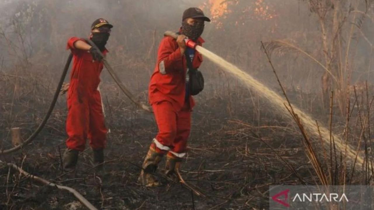 BPBD Riau Berjibaku Padamkan Karhutla di Rokan Hilir dan Dumai, Titik Panas Terus Bertambah