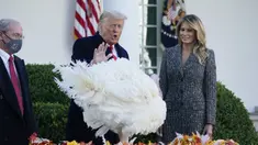 Presiden Donald Trump (tengah) didampingi Ibu Negara Melania Trump (kanan) mengampuni Corn si Kalkun Thanksgiving Nasional di Rose Garden, Gedung Putih, Washington, Amerika Serikat, Selasa (24/11/2020). Thanksgiving adalah hari libur resmi di Amerika Serikat. (AP Photo/Susan Walsh)