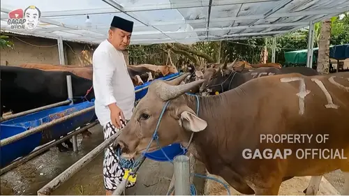 Azis Gagap Ungkap Suka Duka Jualan Hewan Kurban, Sempat Ramai Diborong  Artis Setiap Idul Adha - ShowBiz Liputan6.com