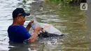 Petugas Sudin Sumber Daya Air (SDA) memunguti sampah-sampah yang tergenang saat banjir di kawasan Kampung Melayu Kecil, Bukit Duri, Jakarta, Selasa (25/2/2020). Banjir tersebut akibat luapan sungai Ciliwung. (merdeka.com/magang/ Muhammad Fayyadh)