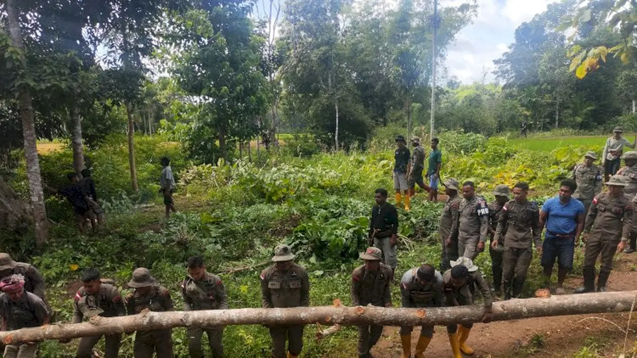 Batalyon C Pelopor Satbrimob Polda NTT melaksanakan pembangunan jembatan darurat yang mengalami kerusakan berat di wilayah Kecamatan Wewewa Timur, Kabupaten Sumba Barat Daya. (Istimewa)