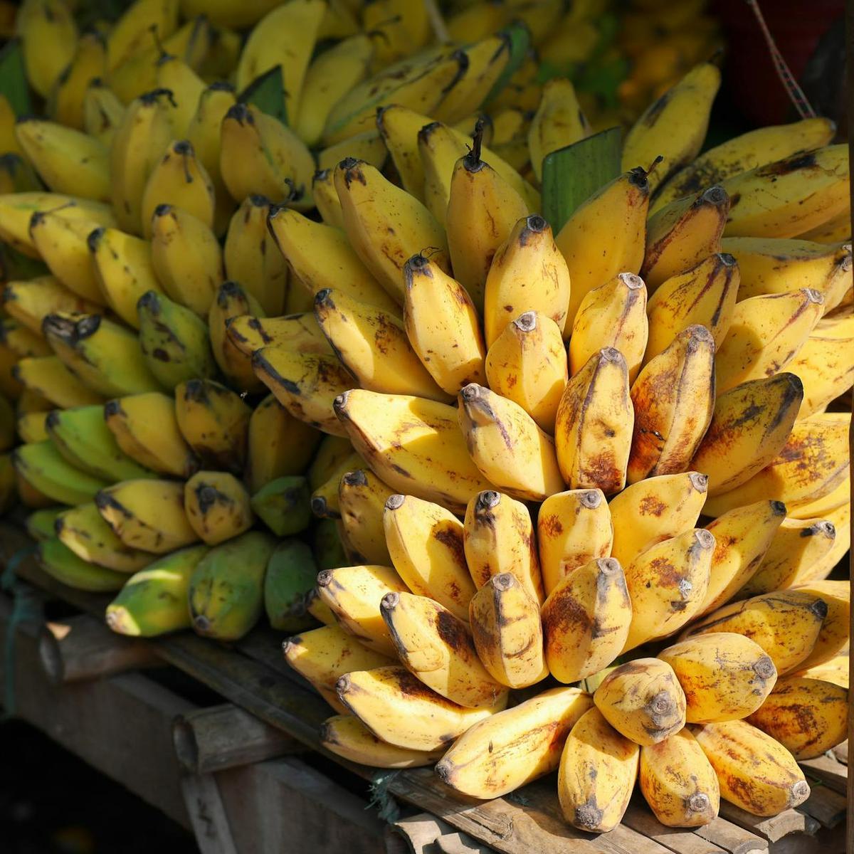 Manfaat Kesehatan Pisang Matang dan Mentah: Ini Perbedaannya