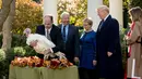Presiden Donald Trump dan Melania Trump berpatisipasi dalam upacara pengampunan kalkun saat tradisi perayaan Thanksgiving di Gedung Putih, Selasa (20/11). Ini adalah tradisi tahunan yang biasa dilakukan oleh Presiden Amerika Serikat. (AP/ Andrew Harnik)