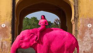 Foto gajah pink bersama model hasil jepretan fotografer Rusia di sebuah kuil di Jaipur, Rajashtan, India, yang menimbulkan kontroversi. (dok. Tangkapan Instagram @julia.buruleva/https://www.instagram.com/p/DU3ucU0kkyi/?img_index=4/Dinny Mutiah)