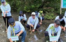ASDP Perkuat Ekosistem Pesisir Mawali dengan Penanaman Mangrove 3.000 Bibit
