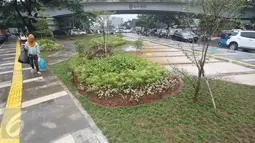 Sebidang taman hijau terlihat di trotoar kawasan Tanah Abang, Jakarta, Senin (21/11). Meskipun belum sepenuhnya selesai, namun trotoar yang dulu dipenuhi PKL tersebut kini telah berubah menjadi bersih dan asri. (Liputan6.com/Immanuel Antonius)