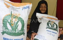 Fakta 1.200 Ton Beras Turun Mutu: Bapanas Pastikan Kualitas Beras Bulog Bantuan Pangan Tetap Layak Konsumsi