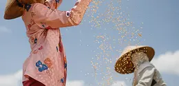Beras Jatiwuluh jadi sumber pangan yang berakar pada Kesehatan dan warisan alam.
