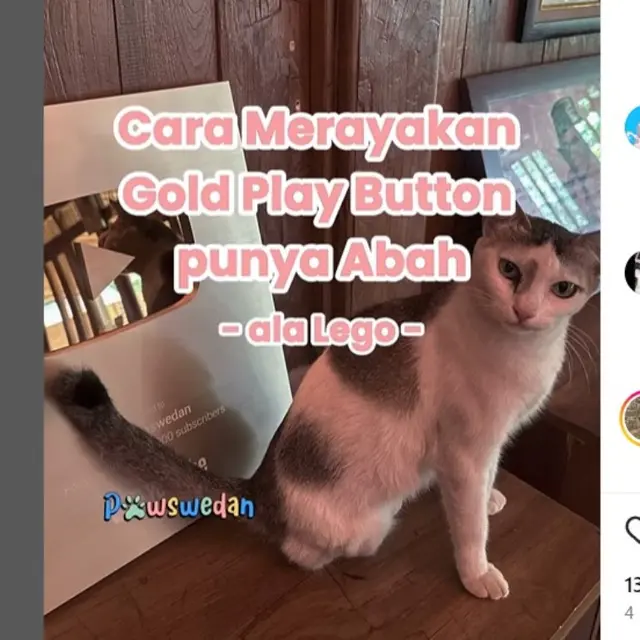 Kucing-kucing Menggenaskan Milik Anies Baswedan yang Membuatnya Raih Gold Play Button dari Google.