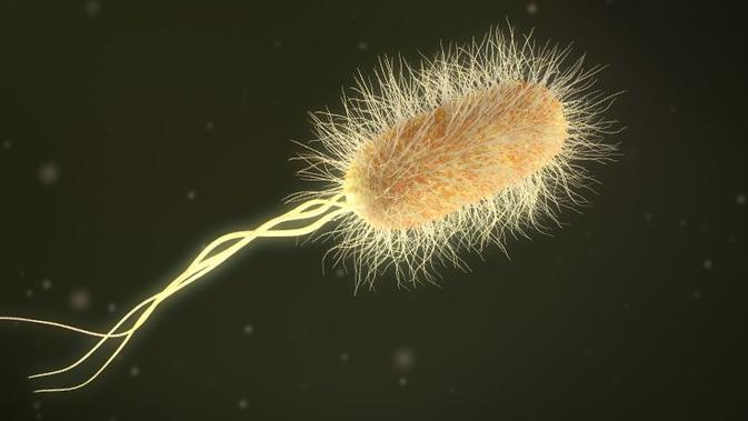 Ilustrasi bakteri | (iStock)