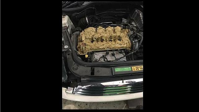 Mesin mobil yang diisi oleh cairan washer (Jalopnik)