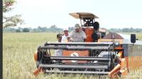 Presiden Prabowo Subianto saat menjajal mesin panen atau Combine Harvester saat panen raya di Kabupaten Majalengka, Provinsi Jawa Barat. (Dok. Tangkapal Layar YouTube Sekretariat Presiden)