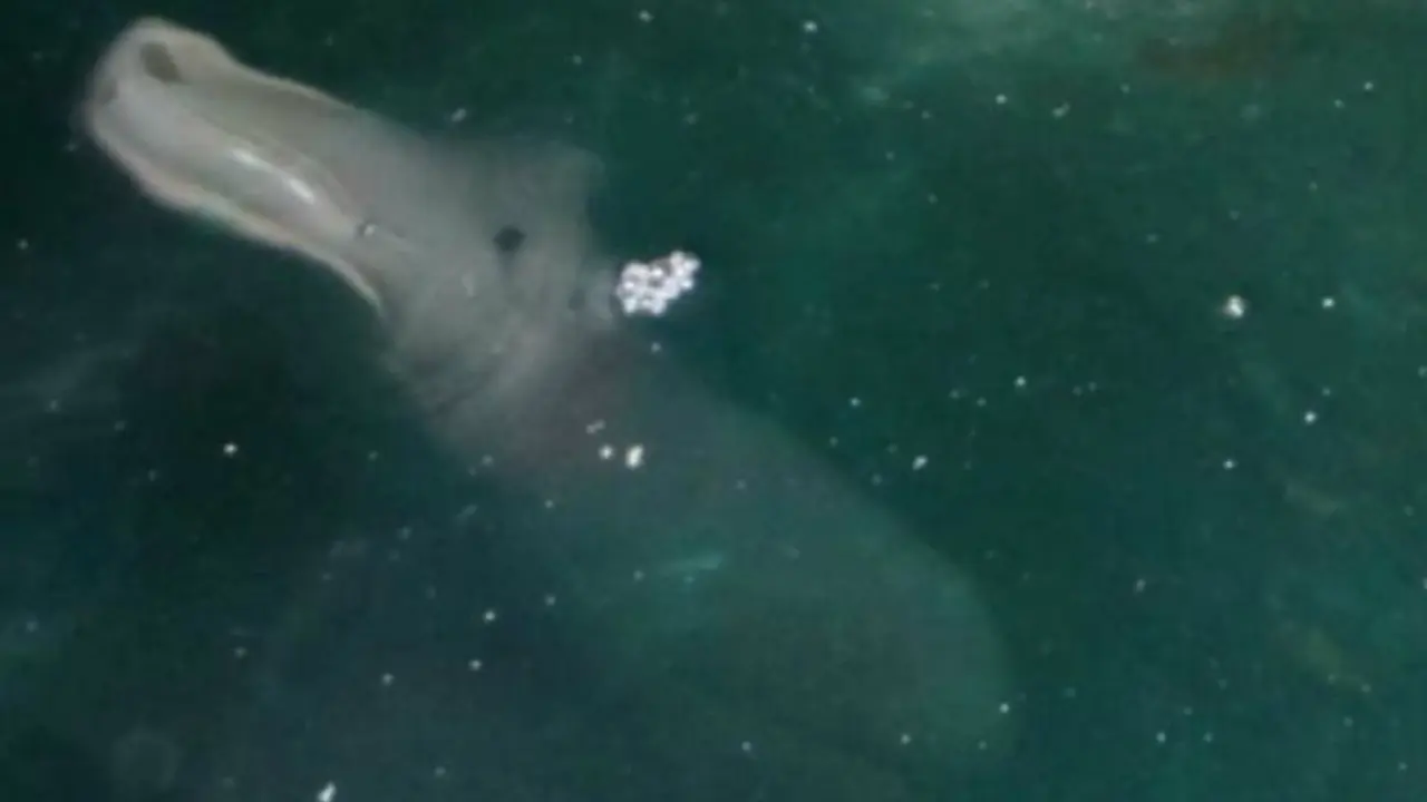 Penampakan Misterius di Gua Laut Yunani, Makhluk Mitos? 