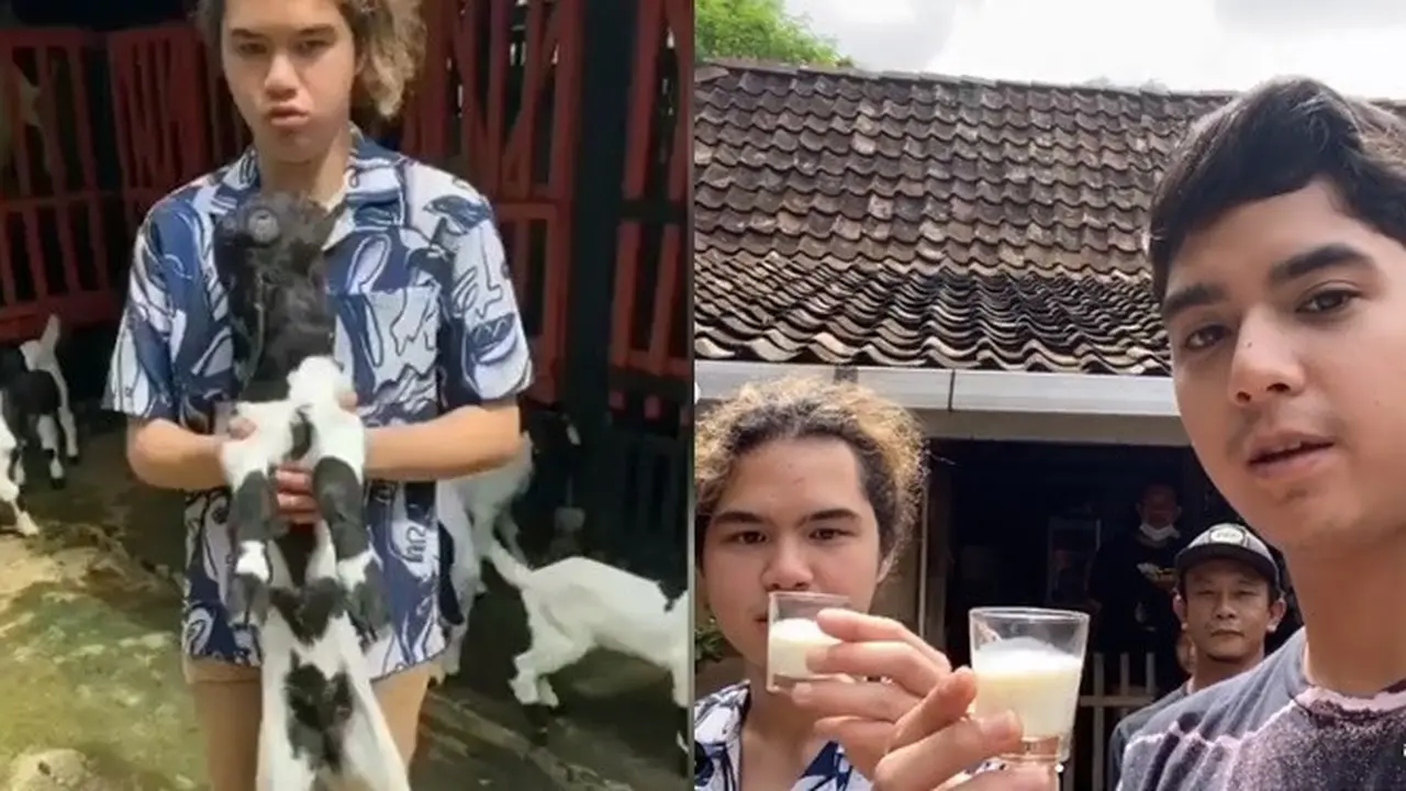 6 Momen Liburan Al dan Dul Jaelani di Magelang, Peras Susu Kambing Sendiri