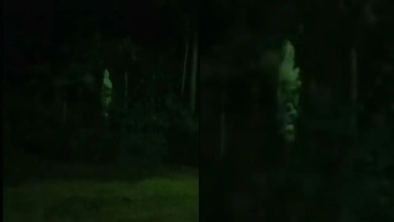 Viral Penampakan Diduga Pocong di Tengah Hutan, Bikin Merinding