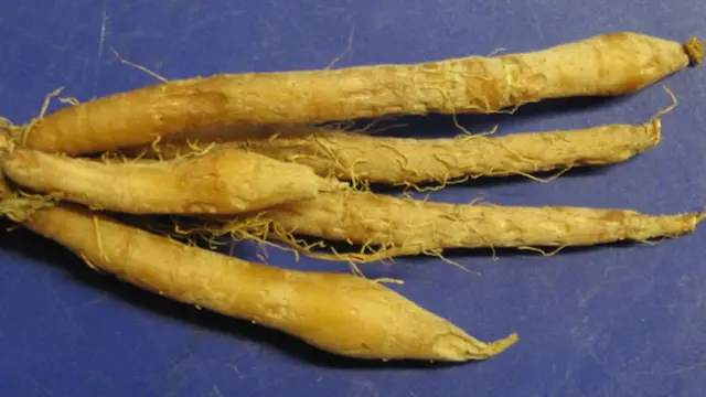 Temu Kunci Wikimedia Commons
