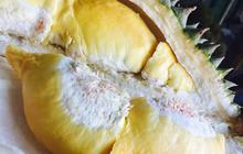 7 Resep Kue Durian Lezat dan Wangi, dari Muffin hingga Pancake