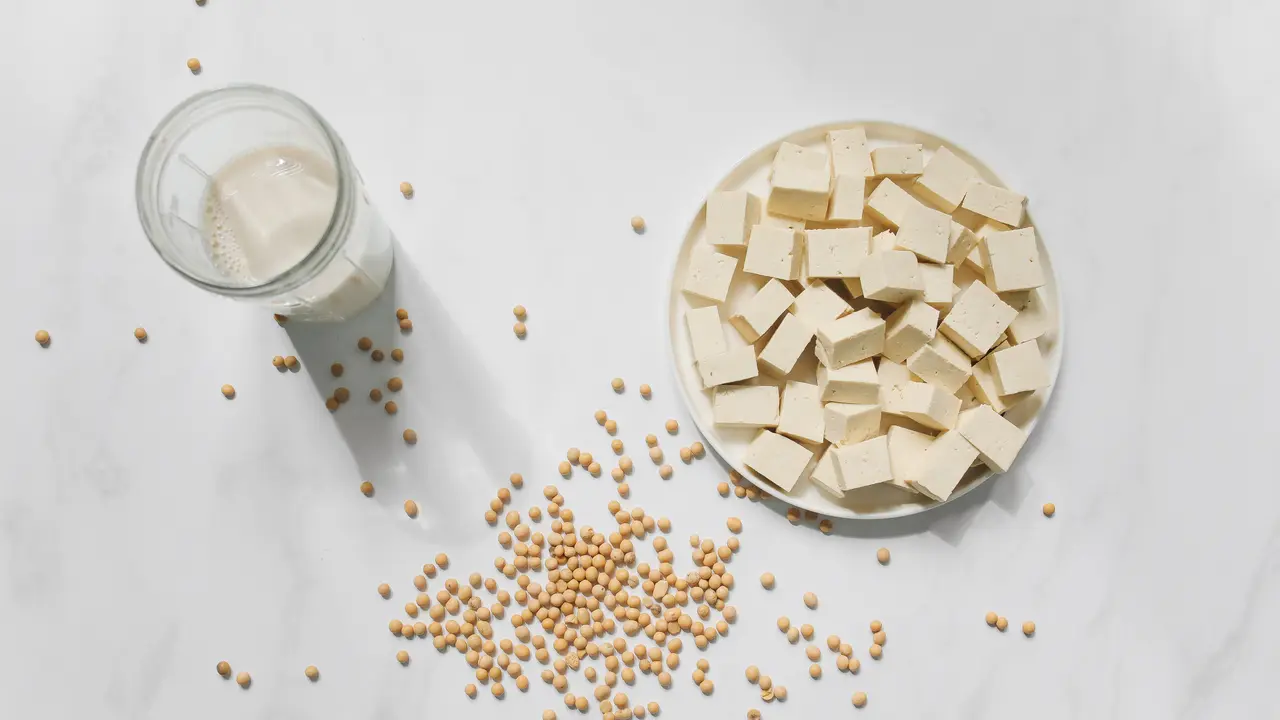 Ilustrasi tofu.