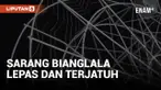 Sarang Bianglala Lepas dan Terjatuh, 2 Warga Terluka di Karanganyar