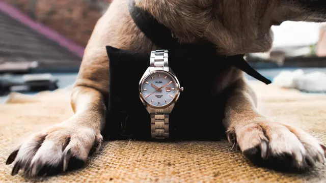 Review: Jam Tangan Analog Perempuan untuk Tampilan Klasik Elegan dengan Harga Terjangkau