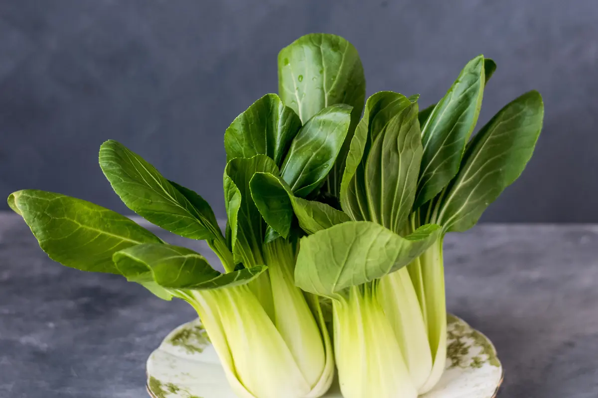 resep sayur pakcoy