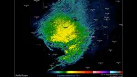 Sekumpulan serangga terdeteksi masuk radar cuaca dan membentuk seolah-olah tanda badai besar.