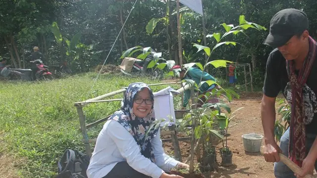 Penanaman pohon