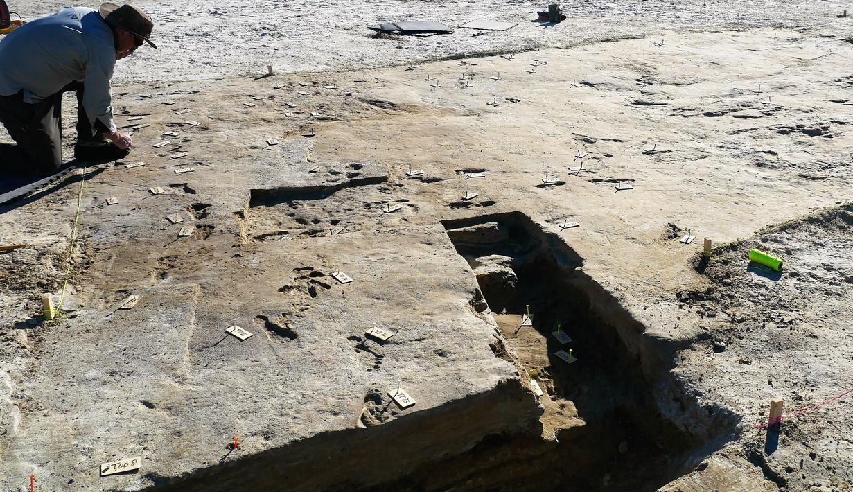 Gambar yang dirilis pada September 2021 menunjukkan fosil jejak kaki berusia 23.000 tahun disiapkan untuk pencitraan 3 dimensi di New Mexico. Temuan memundurkan perkiraan tanggal kapan benua tersebut dihuni pertama kalinya selama ribuan tahun (HO/National Park Service and Bournemouth University/AFP)