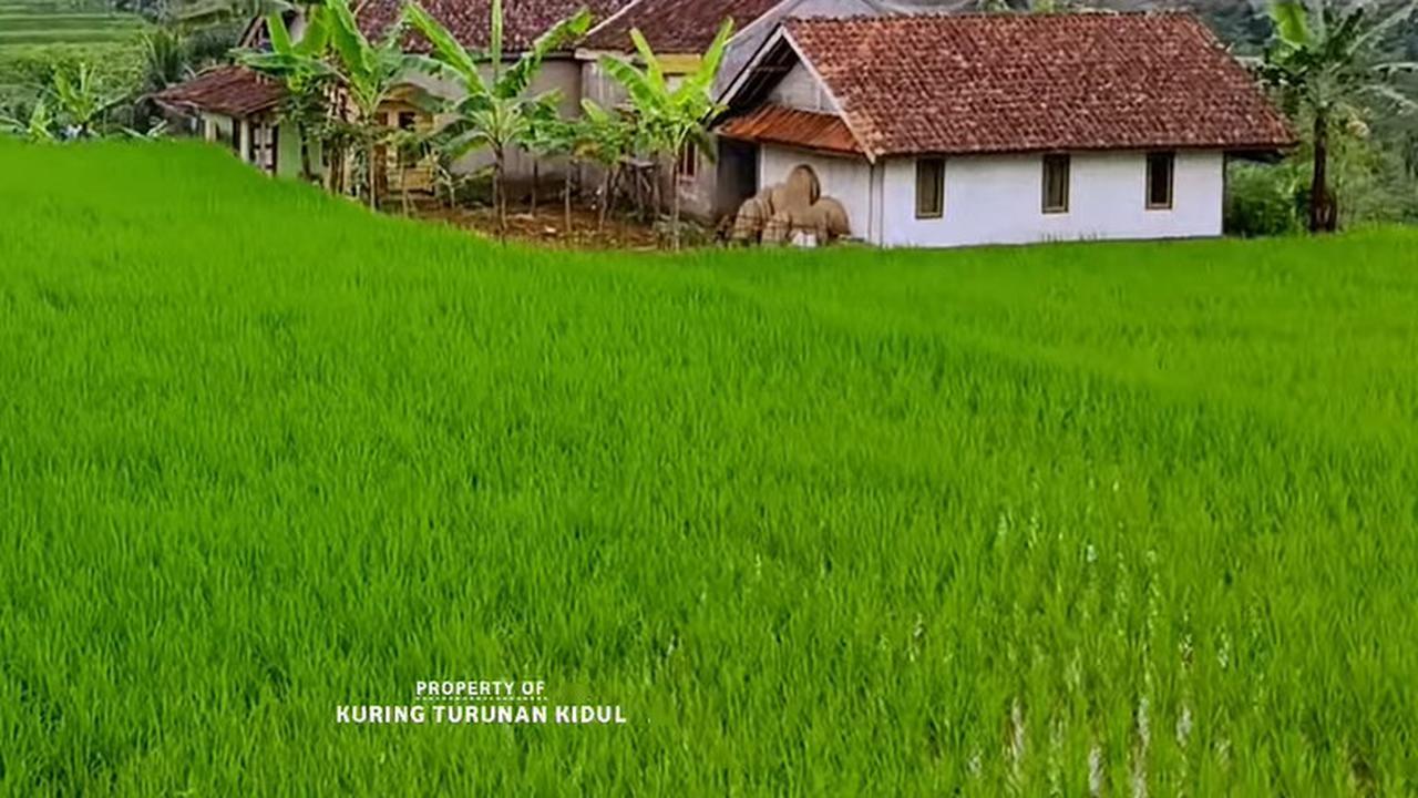 Kampung Cipancur Tasikmalaya yang indah