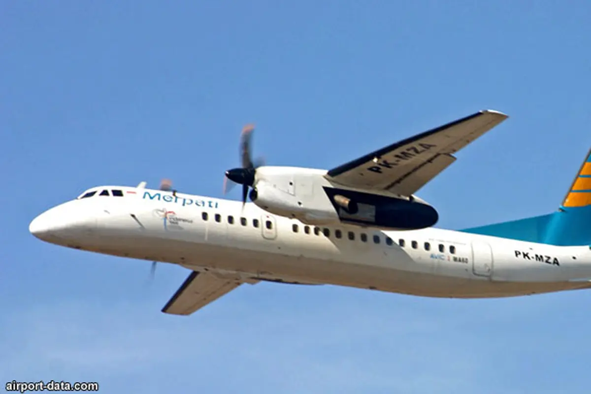 merpati-lagi130610b.jpg