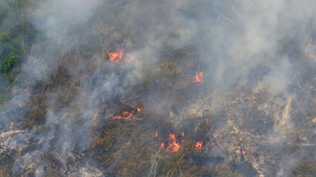 Kapolri janji tindak tegas pejabat negara terlibat pembakaran hutan
