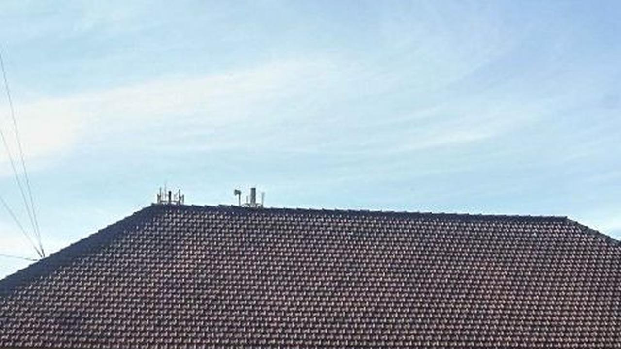 Masih Beroperasi sampai Sekarang, Inilah Pabrik Cerutu Tertua di Indonesia yang Didirikan oleh Orang Belanda