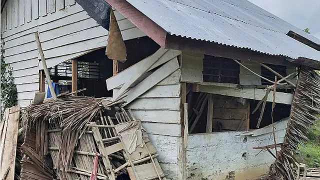 Lagi, Gajah Berkeliaran di Nagan Raya