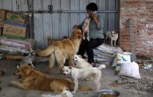Wanita ini rela habiskan jutaan uang demi selamatkan ribuan anjing