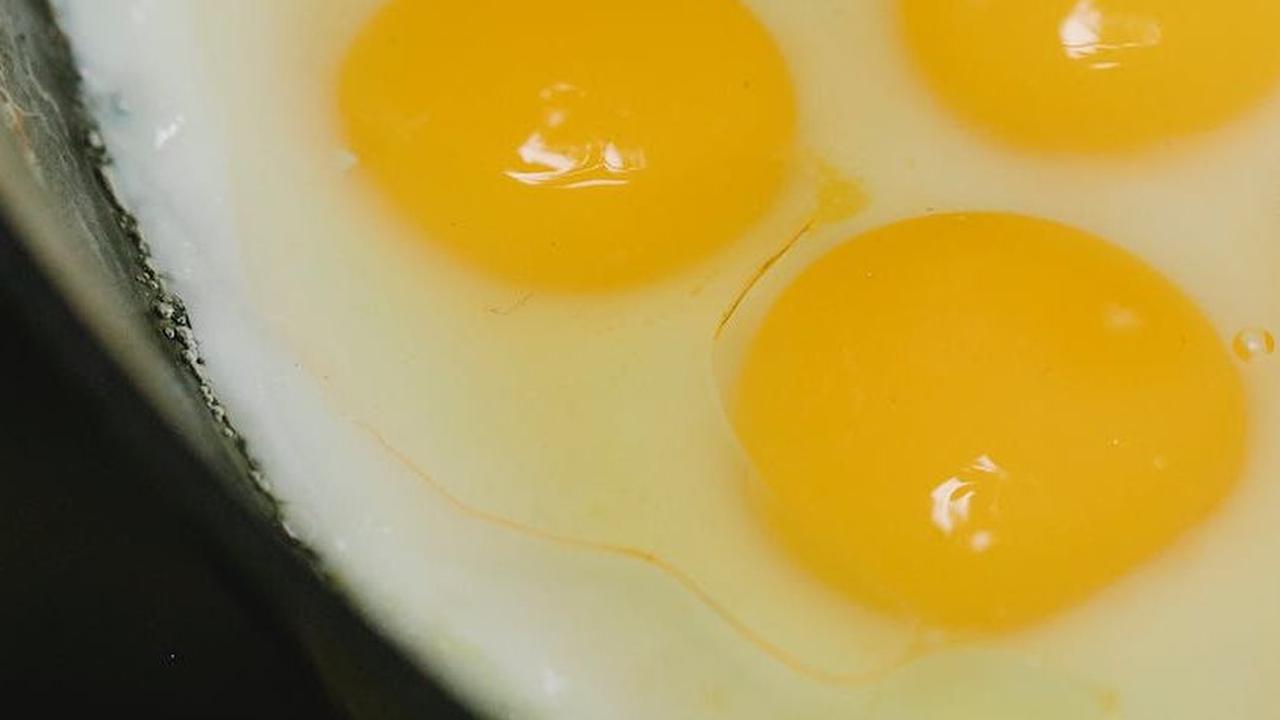 1. Telur