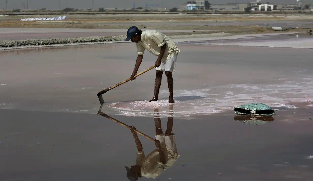 Seorang buruh mengumpulkan garam laut di daerah pesisir dekat Karachi, Pakistan, Sabtu (13/11/2021). Buruh memperoleh rata-rata 1.050 rupee Pakistan (US$ 6) per hari dari pekerjaan mereka untuk mencari nafkah bagi keluarga. (AP Photo/Fareed Khan)