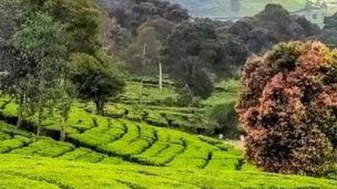 <b>Wisata Pangalengan</b>