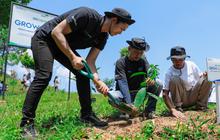 FOTO: Memulihkan Hutan, Aksi Nyata Kelompok Tani Mantan Penambang Melalui BRImenanam Grow & Green