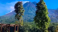 Kawasan Gunung Merapi. (dok.Instagram @btn_gn_merapi/https://www.instagram.com/p/CN3t-wJAZDB/Henry)
