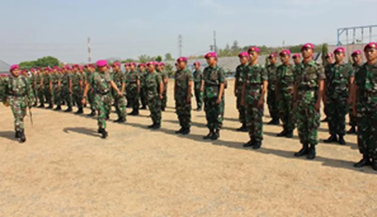 liputan6