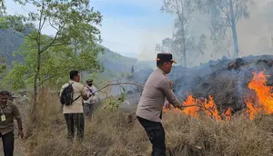 Dampak Kebakaran Hutan Konservasi Kintamani